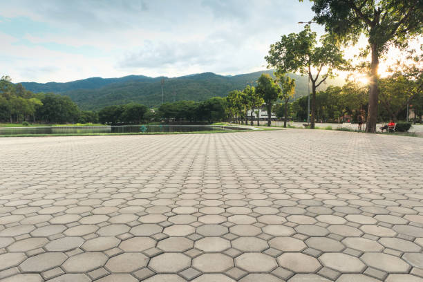 Best Decorative Driveway Pavers  in Sheldon, IA